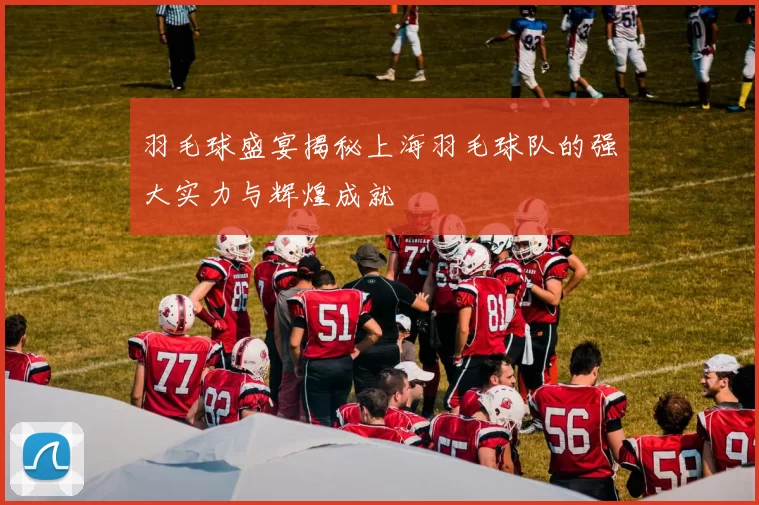 羽毛球盛宴揭秘上海羽毛球队的强大实力与辉煌成就