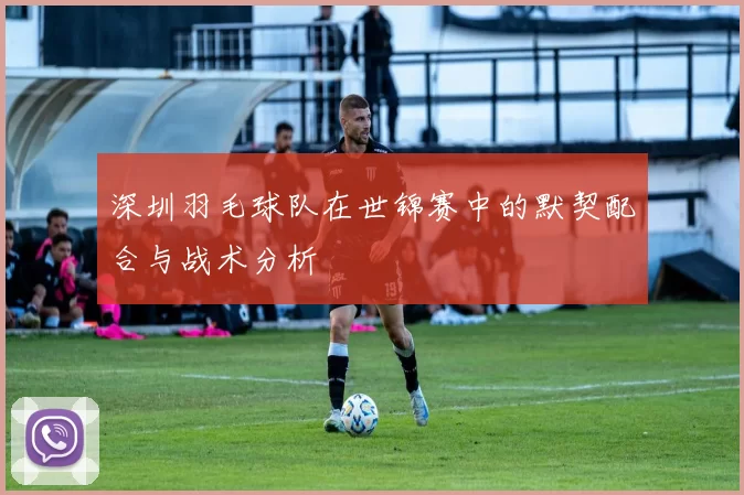 深圳羽毛球队在世锦赛中的默契配合与战术分析