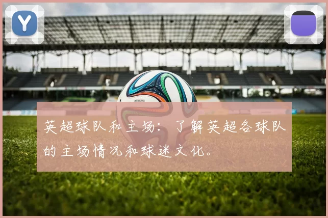 英超球队和主场：了解英超各球队的主场情况和球迷文化。