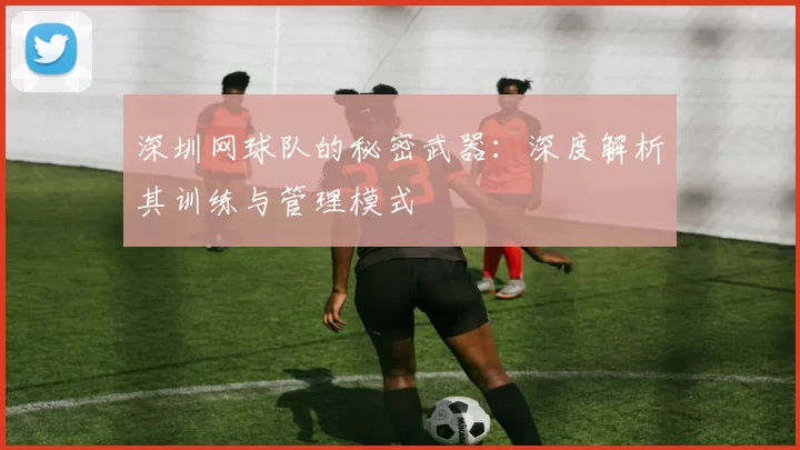 深圳网球队的秘密武器：深度解析其训练与管理模式