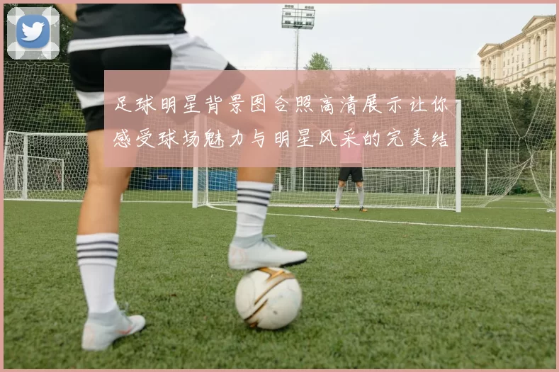 足球明星背景图合照高清展示让你感受球场魅力与明星风采的完美结合