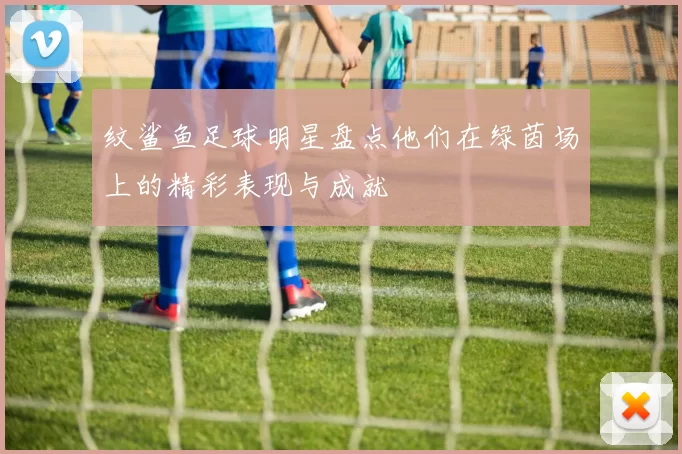 纹鲨鱼足球明星盘点他们在绿茵场上的精彩表现与成就
