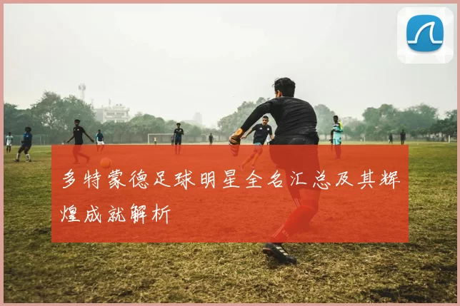 多特蒙德足球明星全名汇总及其辉煌成就解析