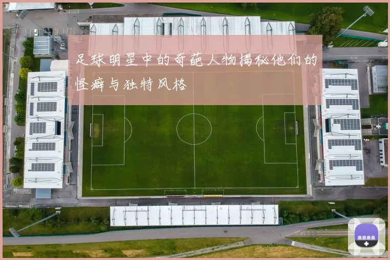 足球明星中的奇葩人物揭秘他们的怪癖与独特风格