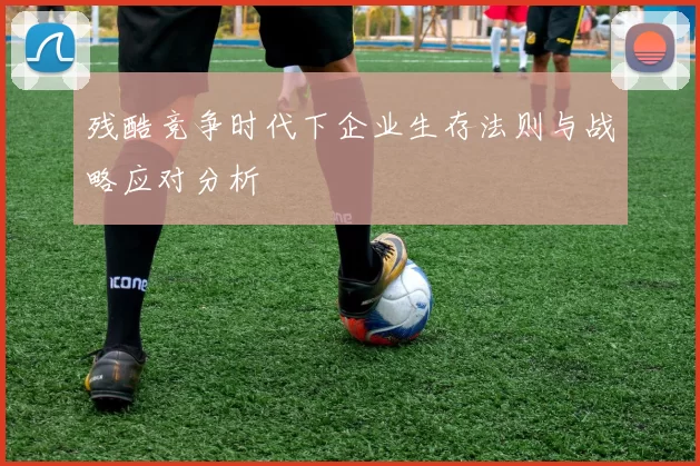残酷竞争时代下企业生存法则与战略应对分析