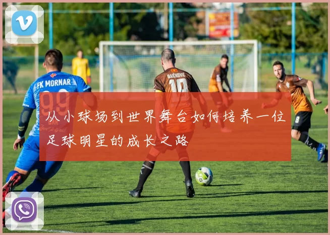 从小球场到世界舞台如何培养一位足球明星的成长之路