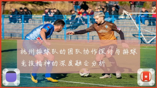 杭州排球队的团队协作探讨与排球竞技精神的深度融合分析