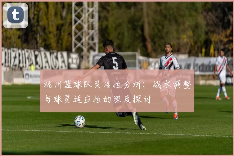 杭州篮球队灵活性分析：战术调整与球员适应性的深度探讨