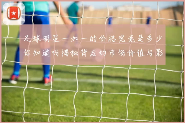 足球明星一加一的价格究竟是多少你知道吗揭秘背后的市场价值与影响力