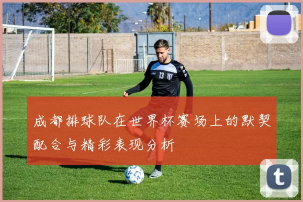 成都排球队在世界杯赛场上的默契配合与精彩表现分析