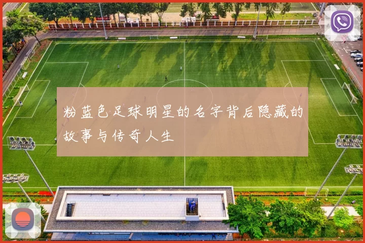 粉蓝色足球明星的名字背后隐藏的故事与传奇人生