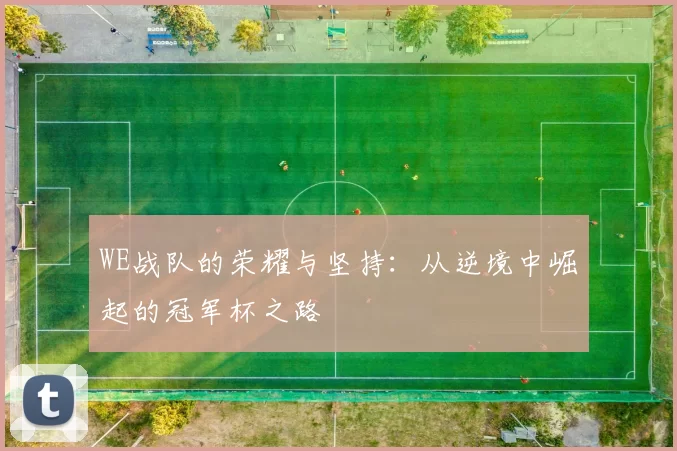 WE战队的荣耀与坚持：从逆境中崛起的冠军杯之路