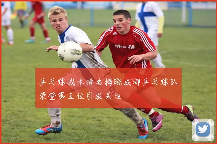 乒乓球战术排名揭晓成都乒乓球队荣登第五位引发关注
