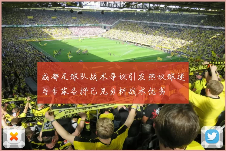 成都足球队战术争议引发热议球迷与专家各抒己见分析战术优劣