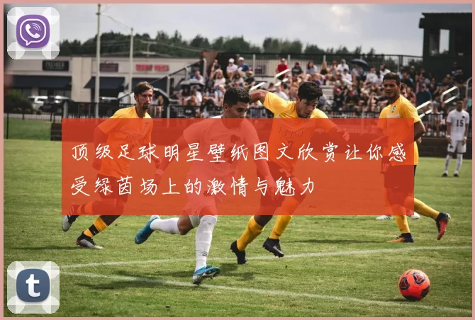 顶级足球明星壁纸图文欣赏让你感受绿茵场上的激情与魅力