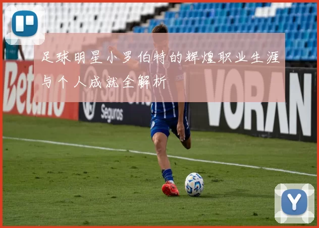 足球明星小罗伯特的辉煌职业生涯与个人成就全解析