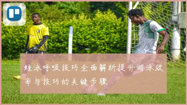 蛙泳呼吸技巧全面解析提升游泳效率与技巧的关键步骤