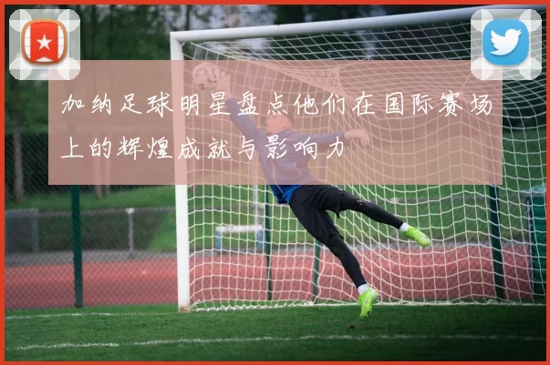 加纳足球明星盘点他们在国际赛场上的辉煌成就与影响力