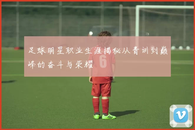 足球明星职业生涯揭秘从青训到巅峰的奋斗与荣耀