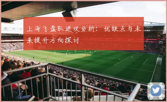 上海飞盘队进攻分析：优缺点与未来提升方向探讨