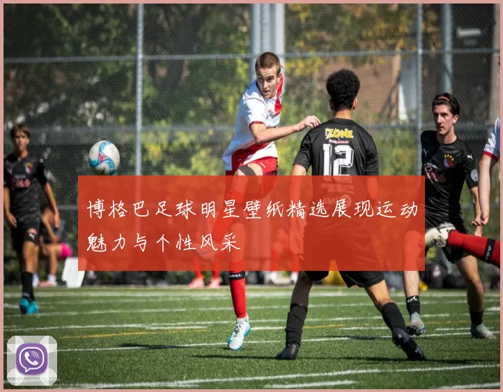 博格巴足球明星壁纸精选展现运动魅力与个性风采