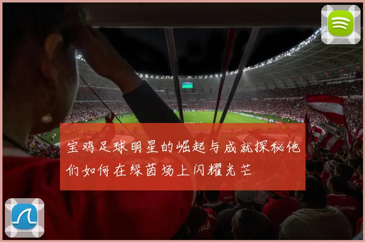 宝鸡足球明星的崛起与成就探秘他们如何在绿茵场上闪耀光芒